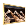 thumbnail image 2 of Designart 'Portrait Of Three Giraffes Running' Farmhouse Framed Art Print, 2 of 4
