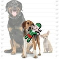 thumbnail image 5 of Tuffy Holiday Elf Durable Plush Squeaky Dog Toy, 2 Pack, 5 of 8