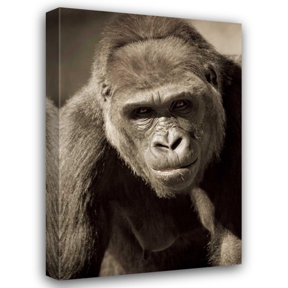 Susann Parker 13x18 Gallery Wrapped Canvas Wall Art Titled - Planet of the Apes
