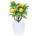 thumbnail image 1 of unbranded Bonsái Frutal Artificial Decorativo Fácil De Mantener Para Hogar Y Oficinas, 1 of 8