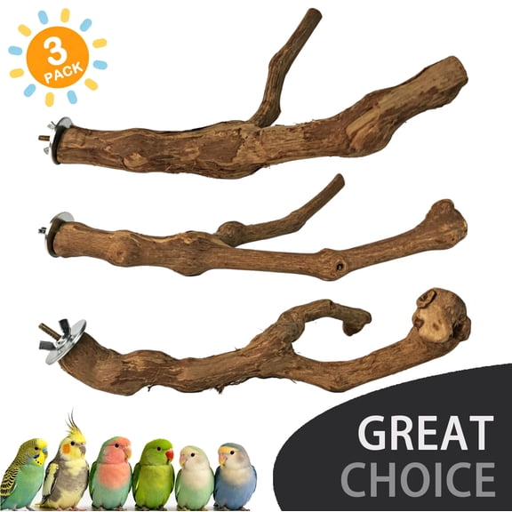 BellaNotes Natural Parrot Perch Bird Stand Pole Wild Grape Stick Paw Grinding Fork Parakeet Climbing Standing Branches Toy Chewable Cage Accessories for Small Budgies Cockatiels Lovebirds 3PCS