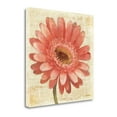 thumbnail image 2 of "Blushing Gerbera On Cream" By Albena Hristova, Giclee on Gallery Wrap Canvas, 2 of 3