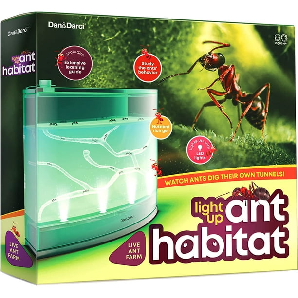 Dan&Darci Light-up Ant Farm Terrarium Kit for Kids – LED Ant Habitat ...