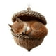 thumbnail image 1 of Forest Decorations 10cm/4 Inches, 1 of 5