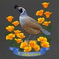 thumbnail image 2 of CafePress - California Quail & Golden Poppy - Maternity Dark T-Shirt, 2 of 3