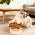 thumbnail image 1 of Comedero y bebedero elevado de gran capacidad para gatos | Plato de plástico para mascotas de 250 ml con diseño ancho y poco profundo | Soporte para el cuello para una mejor digestión y alivio del, 1 of 8