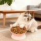 thumbnail image 1 of Comedero y bebedero elevado de gran capacidad para gatos | Plato de plástico para mascotas de 250 ml con diseño ancho y poco profundo | Soporte para el cuello para una mejor digestión y alivio del, 1 of 8