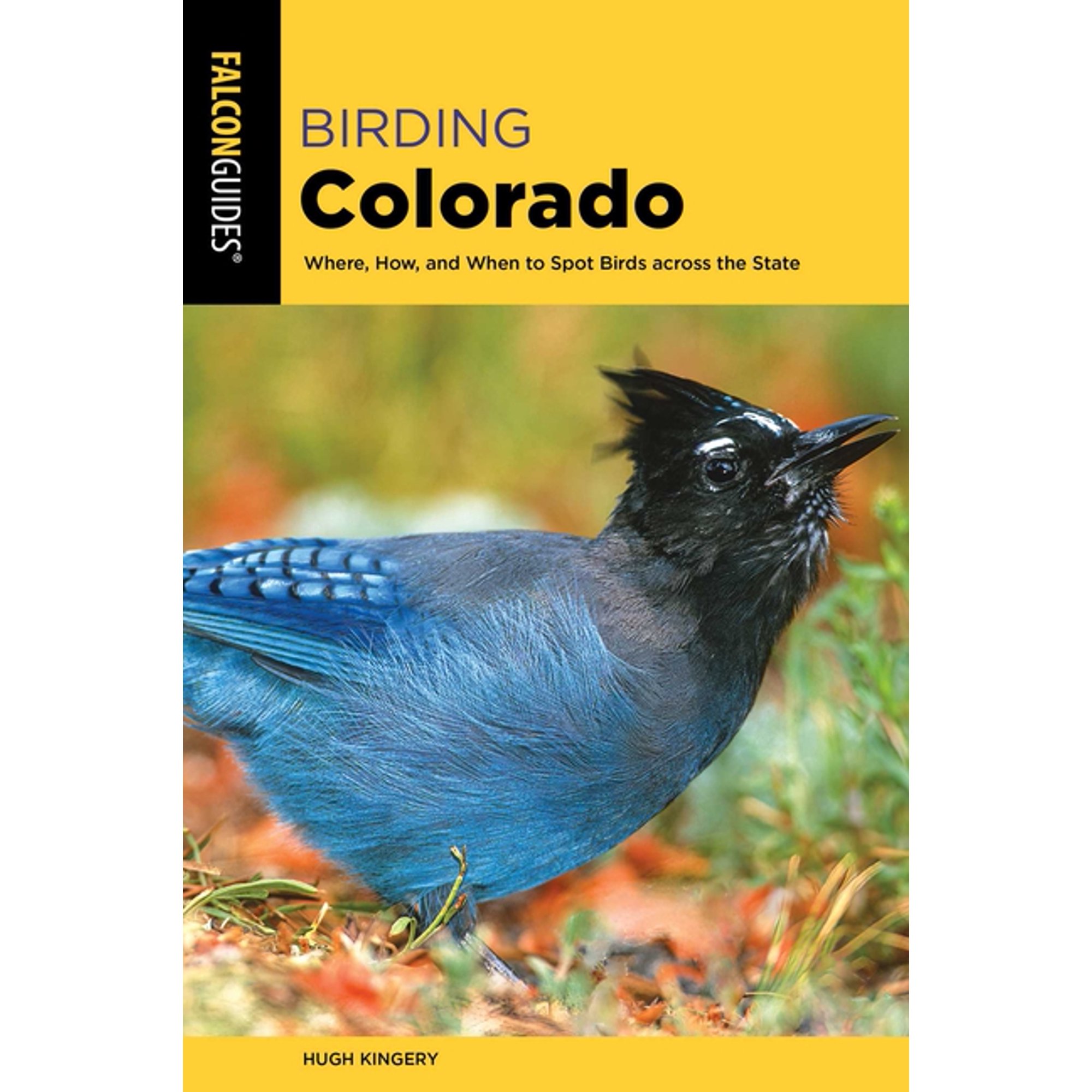 Birding Birding Colorado (Paperback)