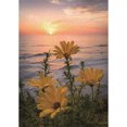 thumbnail image 2 of Cuadros Decorativos 5D DIY taladro redondo completo diamante pintura puesta de sol flores punto de cruz bordado DQrwqpou Nuevos Originales, 2 of 9