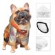 thumbnail image 3 of Fotbe Cute Cloud Pomeranian Sudadera con Estampado para Perros Pequeños – Suéter con Capucha para Mascotas, Tela Suave de Forro Polar con Bolsillo-Medium, 3 of 7