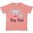 thumbnail image 3 of Inktastic Big Sis with Lil Bro Girls Sister Announcement Girls Toddler T-Shirt, 3 of 5