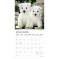 thumbnail image 3 of Puppy Pals | 2026 12x24" (Hanging) Monthly Square Wall Calendar | Plato, 3 of 9