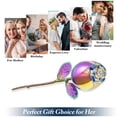 thumbnail image 5 of Rose Flower Keepsake Urns for Human Ashes - Memorials Urn Locket - Long-Stem Colorful Rose Flower Cremation Urns - Funeral Urn for Ashes Adult Cremation Keepsake for Ashes, 5 of 8