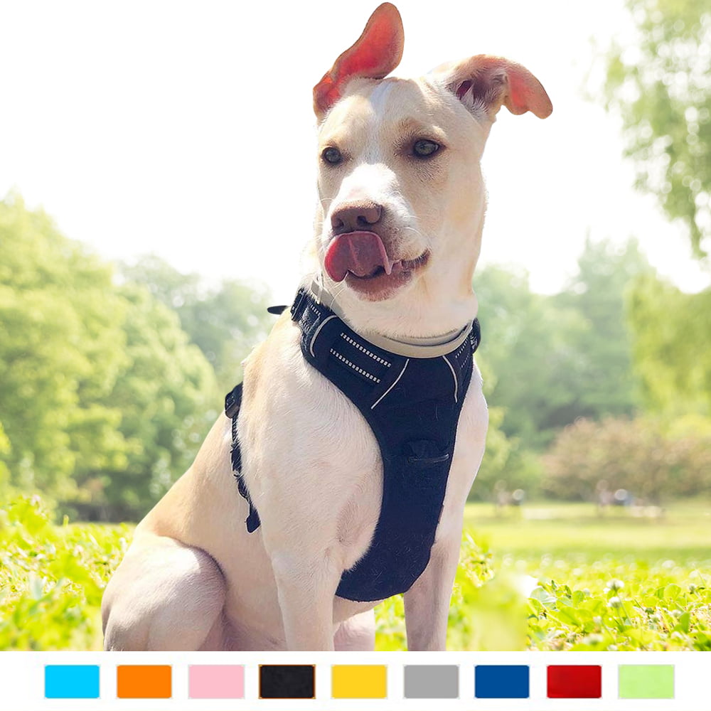 Didog Multi-Use Escape Proof Dog Harnesses for Escape Artist Dogs,Reflective Adjustable Padded Sports Vest Harlter for Medium Large Dogs Hiking Walking Trails,Rose,L 