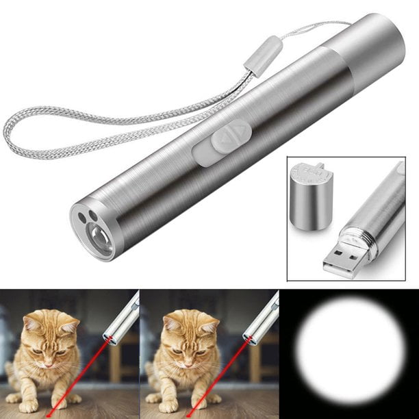 USB Rechargeable Red Laser Pointer 700Mile Teaching w/Battery 2in1 Lazer Pet Toy 