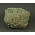 thumbnail image 2 of Off-White Fossilized Coral Look Decorative Coastal Decor Vase, 2 of 4