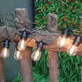 thumbnail image 1 of Serie Luces De Focos Vintage 25 Led Set De Extensión Pamolo Impermeable, 1 of 5