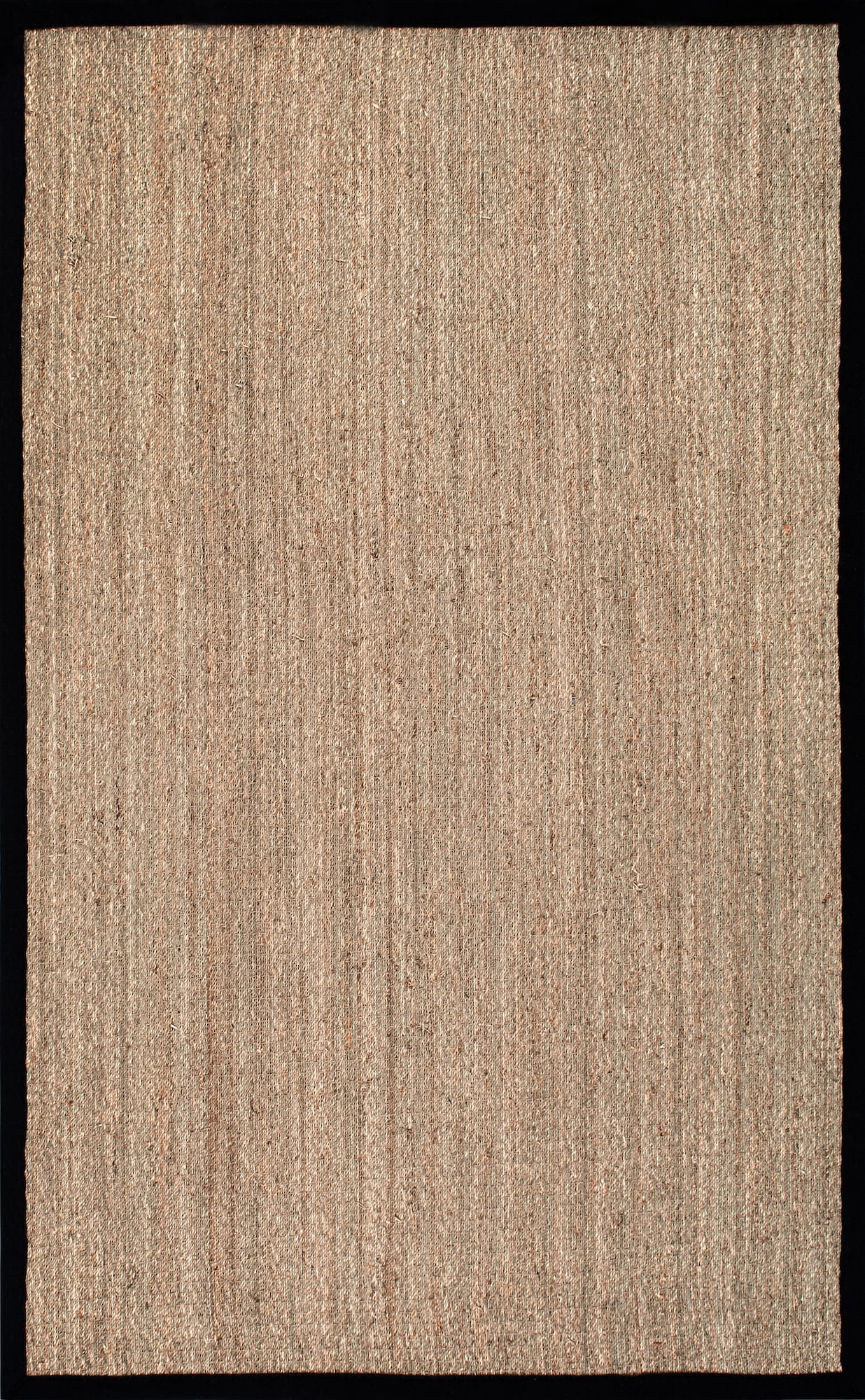 nuLOOM Elijah Seagrass Natural Area Rug, 6', Black