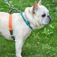 StarBay Dog Harness Quick Release Adjustable Ergonomic Design Tear