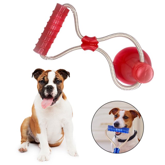 Dog Chew Toy Interactive Creative Suction Cup Pet Chew Toy Dog Teething Toy