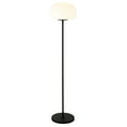 thumbnail image 2 of Evelyn&Zoe Amanita 62.25" Tall Floor Lamp with Glass Shade, Blackened Bronze/White Milk, 2 of 7