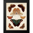 thumbnail image 2 of Vision Studio 12x14 Black Modern Framed Museum Art Print Titled - Butterflies Displayed II, 2 of 5