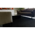 thumbnail image 1 of Trylawnturf Colored Grass - 6.6-ftx10-ft- Crazy Black, 1 of 5