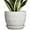 Triangle White, variant on Ceramic Pots for Plants - 5 Inch Plant Pot Indoor with Drainage Hole and Saucer, Outdoor Flower Pot, Decorative Round Planter for Succulent Orchid Snake Plants, White