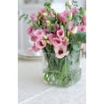 thumbnail image 4 of 20 Improved Pink Lisianthus Flower Seeds for Planting -Pelleted Seed, 4 of 6