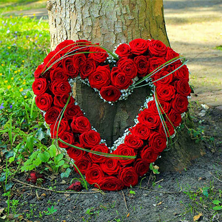 12 Pack Heart Metal Wreath 12 Inch Heart-Shaped Wire Wreath Frame