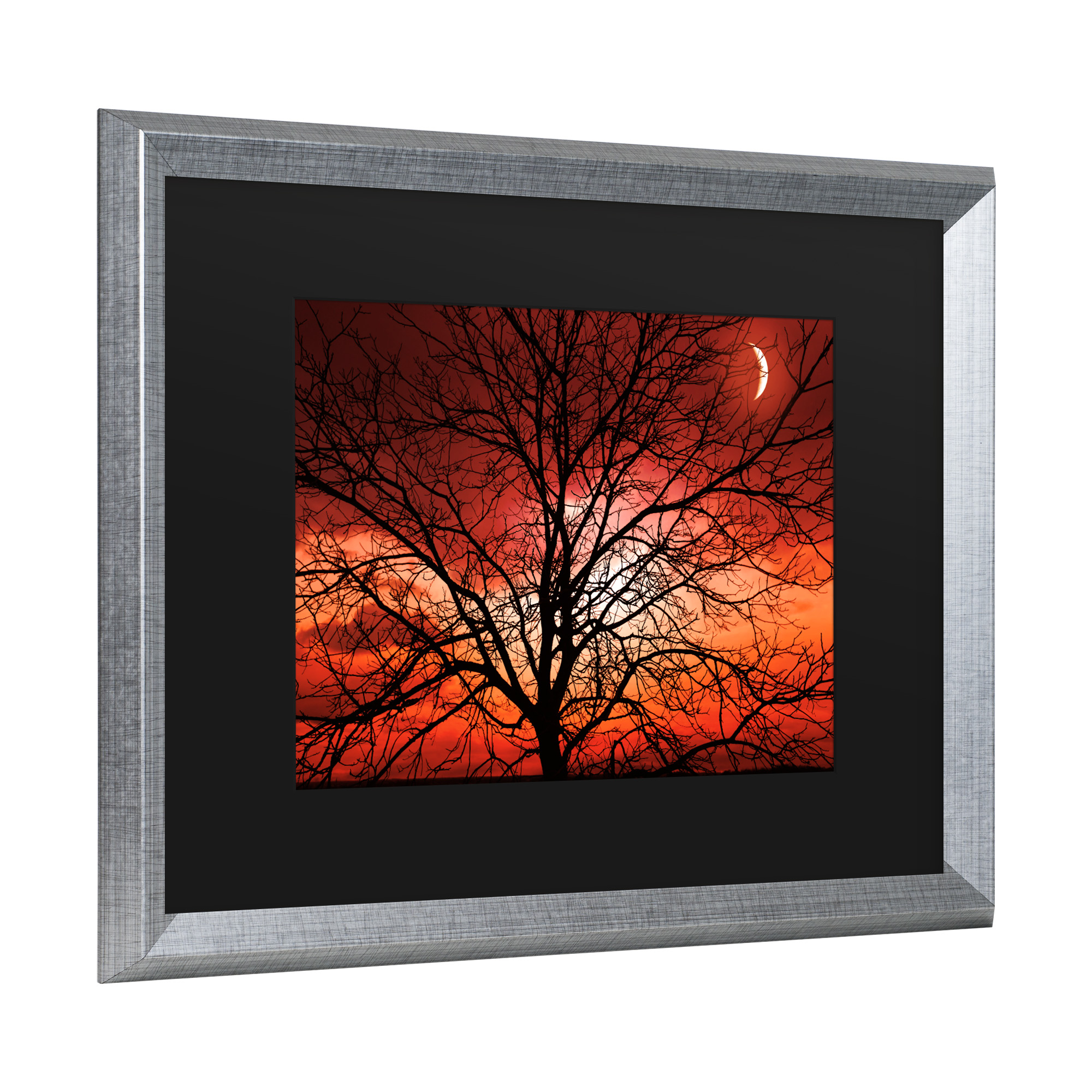 Trademark Fine Art 'Big Bad Moon' Canvas Art by Philippe Sainte-Laudy