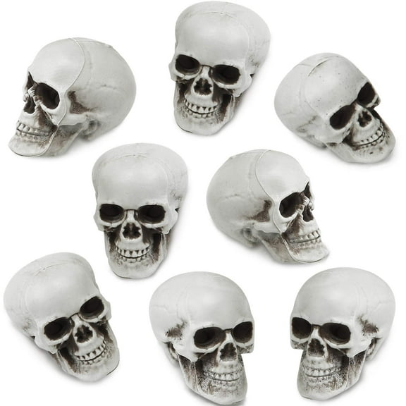 5 Pieces Halloween Skull Realistic Looking Skulls Skeleton Head Skull for Halloween Ghost Haunted House Bar Home  Decoration