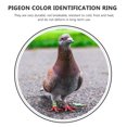 thumbnail image 2 of EeaseCA 100Pcs Aluminium Racing Pigeon Leg Rings Bands Dove Identify Training Rings 8mm Multicolor Bright Colors and Numbers, 2 of 9