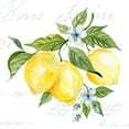 thumbnail image 3 of Robinson, Carol 15x15 Black Modern Framed Museum Art Print Titled - Lemon Squeeze II, 3 of 5