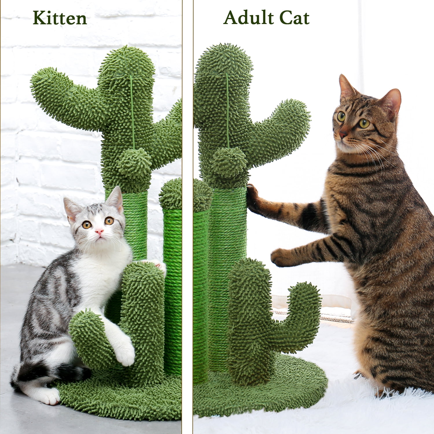 PAWZ Road 23" Cactus Cat Scratching Posts Medium Sisal Cat Scratcher,Green