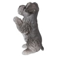 thumbnail image 2 of SCHNAUZER PUPPY PRAYING, 2 of 3