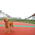 thumbnail image 4 of Methold Correa de perro de nailon para una amplia aplicación, duradera y resistente al desgaste, correa de nailon para mascotas Tubos y túneles para animales pequeños Negro METRO, 4 of 6