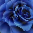 thumbnail image 2 of Coolnut Valentine's Day Round Tablecloth,Realistic Blue Rose Lace Round Table Cloth Water Resistant Spill Proof Large Table Cover for Valentine's Day Romantic Dinner Decorate 60 in, 2 of 7
