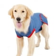thumbnail image 4 of Pet Clothes Wound Protector Costume, 4 of 8