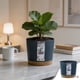 thumbnail image 2 of HWRETIE Resin Flower Pot with Drainage Tray Dark Blue Indoor Planter Pot 16Cm Garden Container for Home Desk Balcony office Succulent Flower Pot, 2 of 6