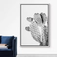 thumbnail image 3 of IDEA4WALL Framed Canvas Wall Art Spiky Cactus with Buds Botanical Art Black And White Desert Succulent Floral Photography Print Rustic for Living Room, Bedroom, Office - 16"x24" White, 3 of 5