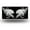 Angelic Wings in White, variant on License Plate,Bald Eagle with Grunge American Flag Decorative Front,Personalized Stainless Steel License Plate Cover For Men Women,12.2" X 6.2"