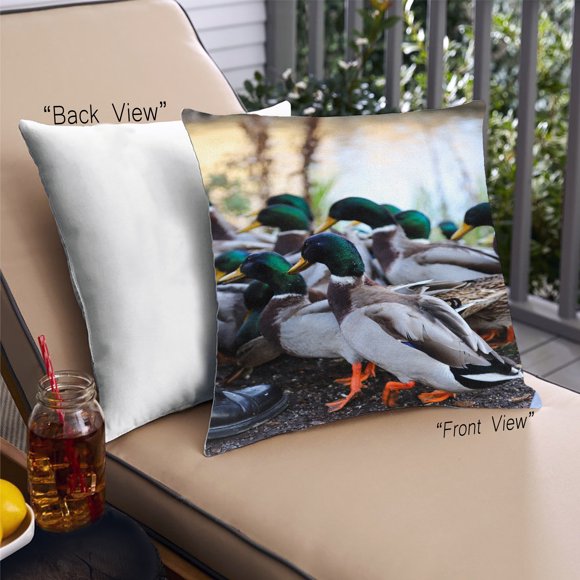 Ahgly Company Animals Duck Outdoor Throw Pillow, 18 inch by 18 inch