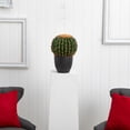 thumbnail image 2 of Nearly Natural 14" Plastic Cactus Artificial Plant, Green, 2 of 4