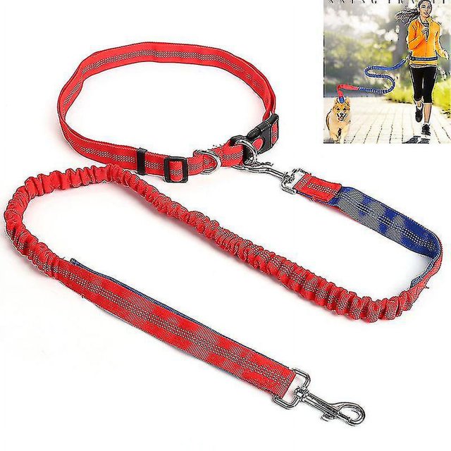 Correa elástica de nailon para perros Correa para correr para mascotas Correa para perros que caminan Correas para mascotas