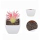thumbnail image 5 of Pot Carr Sincero Plastique Pour Plantes Succulentes Ensemble De 6 Pices, 5 of 5