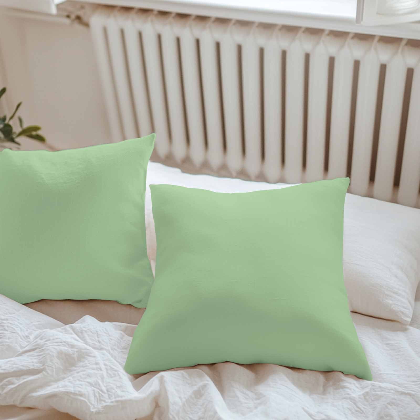 Light Green Throw Pillow Covers 20x20 Inch Set of 2, Farmhouse Solid Green Color Modern Art Waterproof Outdoor Pillow Covers, Decorative Cushion Pillowcases for Couch, Sofa, Bed, Garden, Patio