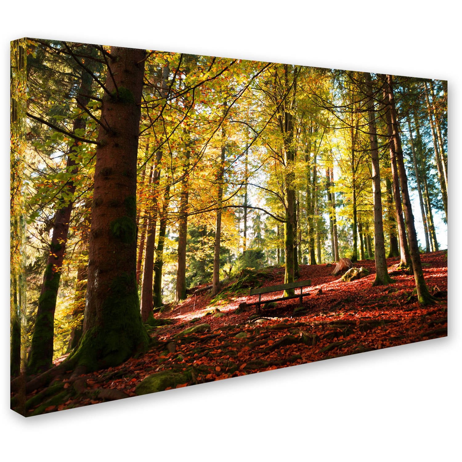 Trademark Fine Art "The Autumn Bench" Canvas Art by Philippe Sainte-Laudy