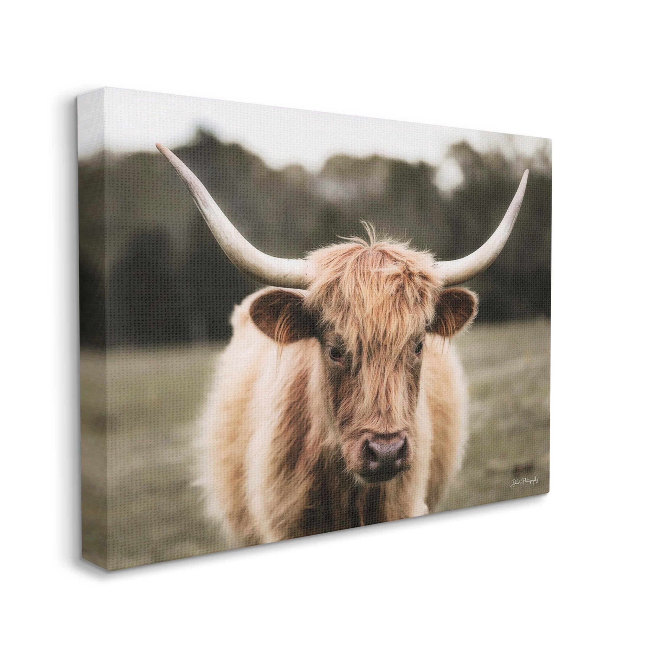 Stupell Industries Peaceful Cattle Rural Open Farmland Photograph Gallery Wrapped Canvas Print Wall Art, Design by Dakota Diener