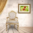 thumbnail image 3 of Horton, Janet 18x13 Gold Ornate Wood Framed with Double Matting Museum Art Print Titled - Issaquah-Washington State-USA Cluster of raspberries in various stages of ripeness, 3 of 4